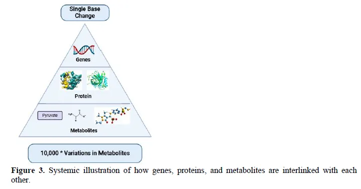 Metabolites in Modern Medicine: Decoding the Future of Health and Diseases 4 figures