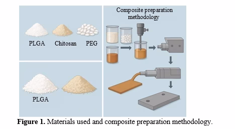 Development and Characterization of Antimicrobial Polymer Composites for Food Packaging Applications 2 figures