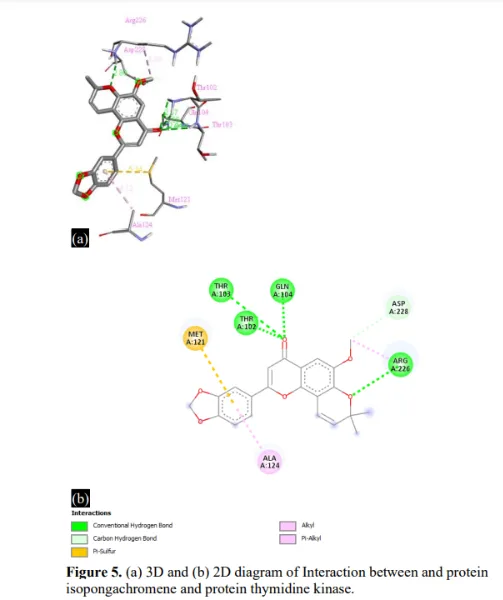 Exploring The Therapeutical Potential Of Pongamia Pinnata For Herpes Simplex Virus Type 1 (HSV-1) 7 figures