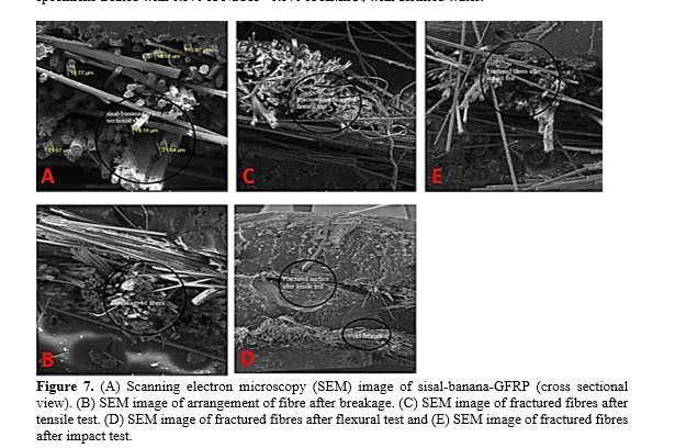 Eco-Friendly Tri-Layer Hybrid Composites: A Sustainable Approach to Polymer Matrix Materials 8 figures