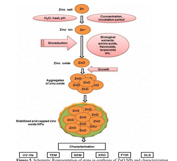 Zinc Oxide Nanoparticles from Murayya koenigii: Antibacterial Potential Review 6 figures