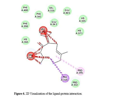 Targeting Homogentisate Dioxygenase Dysfunction in Alkaptonuria: Investigating Curcuma longa’s Therapeutic Potential 6 figures