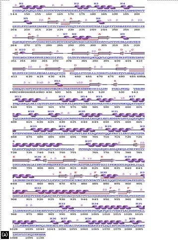 Molecular Docking Evaluation of Cedrus deodara Secondary Metabolites as a Potent Anti-ovarian Cancer Agent 7 figures