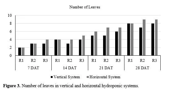 Evaluating Water Savings in Vertical and Horizontal Hydroponic Systems Using Nutrient Film Technique 4 figures