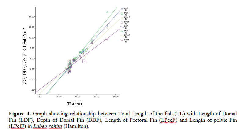 Studies On The Length-Weight Relationship And Morphometric Characteristics of Rohu, Labeo Rohita (Hamilton) From Pond In Radhamohanpur, Jirania, Tripura, India 5 figures