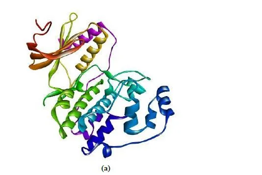 In Silico Molecular Docking of Indigofera tinctoria Phytocompounds to Target EGFR/ERK and FGFR/FGF Pathway Proteins Involved in Prostate Cancer 5 figures