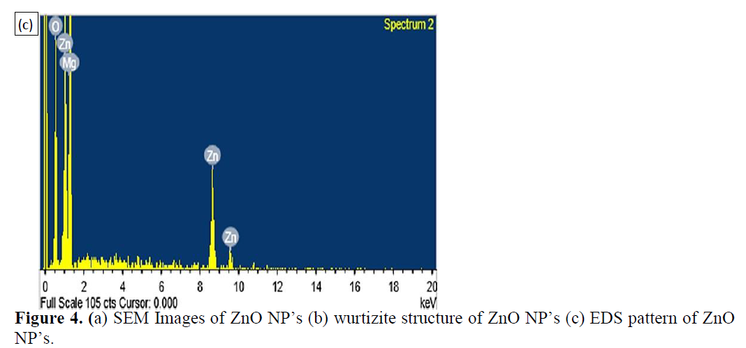 A Comparative Study of Zinc Oxide Nano Particles Synthesized by Hydrothermal, Sol-gel and Thermal Decomposition 7 figures