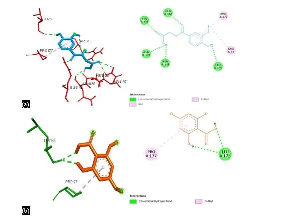 Molecular Pharmacokinetics and Structural Docking of Phenolic Acids for Targeting NF-κB Pathway Components in Inflammation and Fibrosis: A Computational Approach Toward Therapeutic Discovery 5 figures