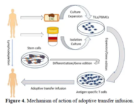 Immunotherapy Advancements in Cancer Treatment 5 figures