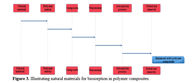 Harnessing Natural Materials for Enhanced Properties and Environmental Remediation in Biosorption of Polymer Composites 4 figures