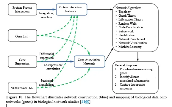 Introduction to Biological Networks and their Contributions to Systems Biology 11 figures