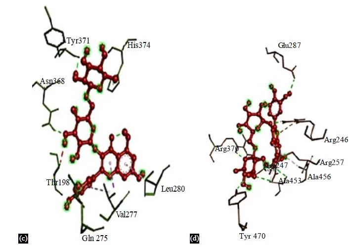 Integrating Network Pharmacology and Molecular Docking to Assess Rutin’s Pharmacological Properties 13 figures