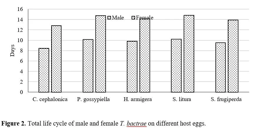 Host Suitability of Trichogrammatoidea Bactrae Nagaraja on Different Host Eggs 3 figures