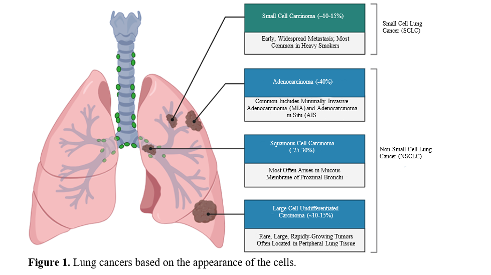 A Comprehensive Review of Ethnobotanical Studies on Traditional Indian Herbal Plants for Lung Cancer Management 2 figures