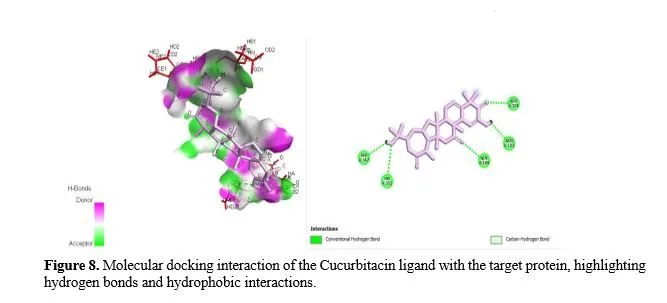In Silico Analysis and Molecular Docking Studies of COX-2 Inhibitors for Anti-Inflammatory Activity 9 figures