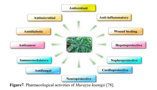 Zinc Oxide Nanoparticles from Murayya koenigii: Antibacterial Potential Review 8 figures