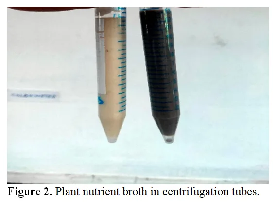Development of a Plant-Derived Bacteriological Culture Medium as an Alternative to Conventional Nutrient Agar 3 figures
