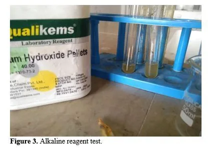 Edible Mushrooms: Management of Diabetes Mellitus and Phytochemical Screening of Agaricus Bisporus 4 figures