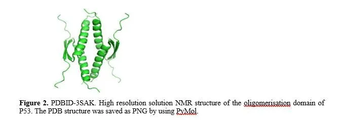 Molecular Docking Studies of Wildtype P53 with Damnacanthal and Scopoletin- Phytochemicals Derived from Morinda Citrifolia 3 figures