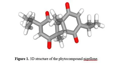 Molecular Docking of Nigella Sativa Phytocompound as Inhibitors of Transcription Factors NF-KB Implicated in Rheumatoid Arthritis 2 figures
