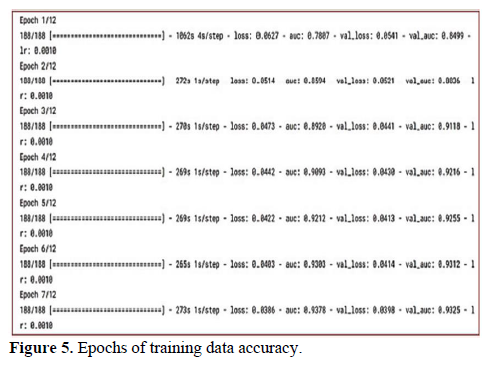 Automatic Detection of Misplaced Tubes and Catheters Using EfficientNet B7 6 figures
