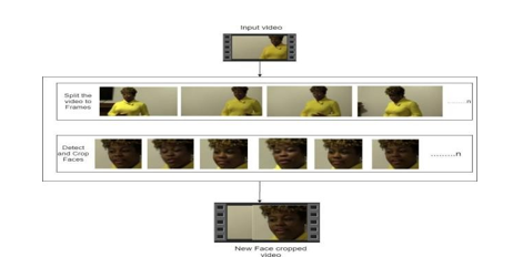 Robustness of Deepfake Detection Systems Against Adversarial Attacks 4 figures