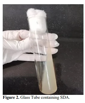 Epidemiology and Mycological Analysis of Superficial Mycosis in a Northern Indian Tertiary Care Hospital 3 figures