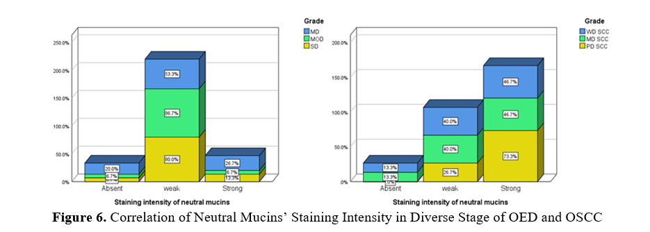 Examining Connective Tissue Changes Across Various Grades of Oral Epithelial Dysplasia and Oral Squamous Cell Carcinoma: A Histochemical Polymeric Investigation 7 figures