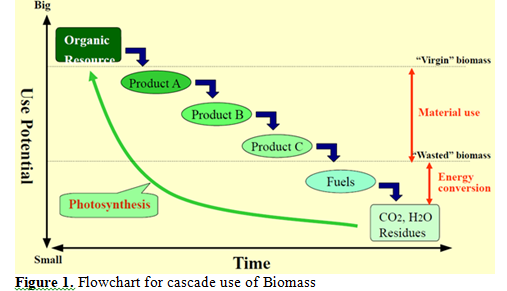 Optimizing Microbial Consortia for Enhanced Biofuel Production: A Metabolic Engineering Approach 2 figures