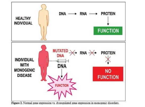 Gene Therapy in Modern Medicine: Promises and Challenge in Treating Genetic Diseases 3 figures