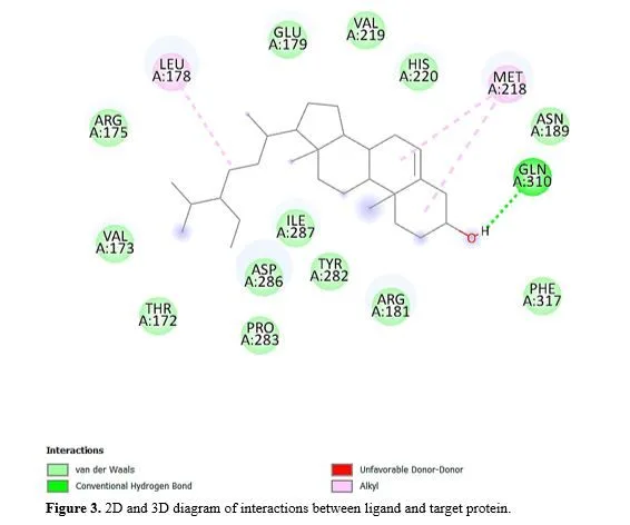 Using Multitarget Molecular Docking to Examine the Antiviral Potential of Clerodendrum Phlomidis against Measles 5 figures
