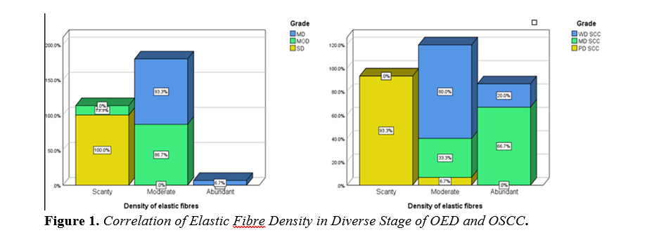 Examining Connective Tissue Changes Across Various Grades of Oral Epithelial Dysplasia and Oral Squamous Cell Carcinoma: A Histochemical Polymeric Investigation 2 figures