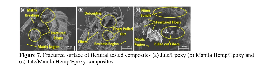 Mechanical and Morphological Analysis of Jute/Manila Hemp Hybrid Composites for Enhanced Structural Performance 8 figures