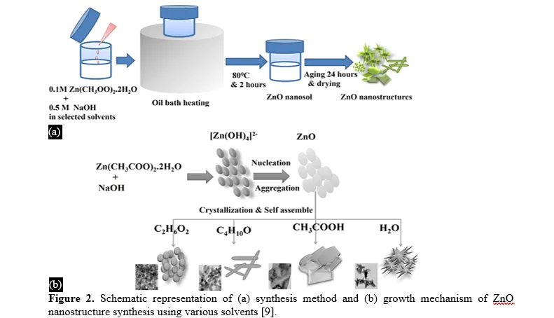 ZnO Nanostructure Shape Effects in Photocatalysis of Methylene Blue 3 figures