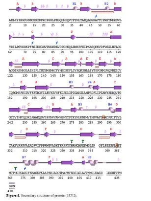 Targeting Homogentisate Dioxygenase Dysfunction in Alkaptonuria: Investigating Curcuma longa’s Therapeutic Potential 5 figures