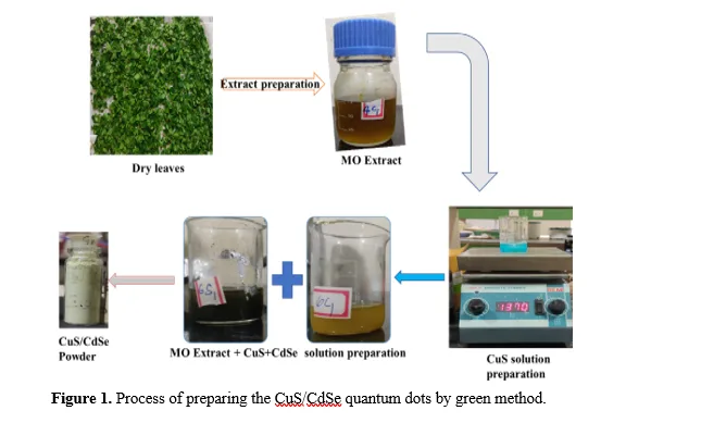 Study of the CuS/CdSe Quantum Dots on the Optical Properties of Green Synthesis 2 figures