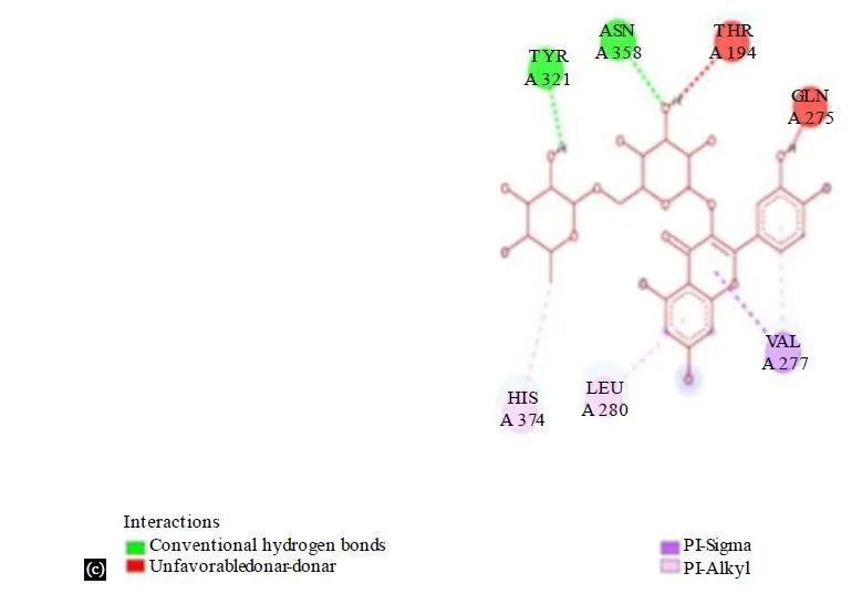 Integrating Network Pharmacology and Molecular Docking to Assess Rutin’s Pharmacological Properties 9 figures