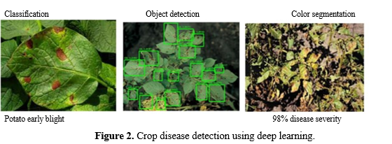 Plants Disease Detection Using TensorFlow and OpenCV 2 figures