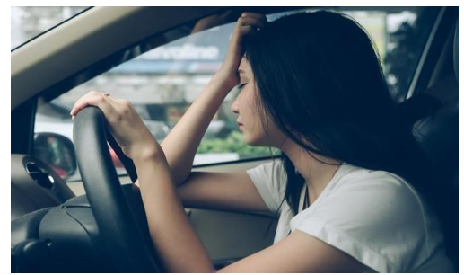 Driver Drowsiness Alert System 2 figures