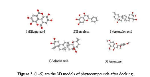 Molecular Docking of Arjuna Tree Phytocompounds for Ischemic Heart Disease 3 figures