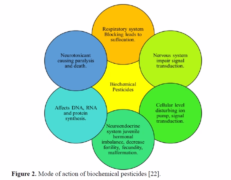 Strategies of Biopesticide Development and Application: The Hype and Hope 3 figures