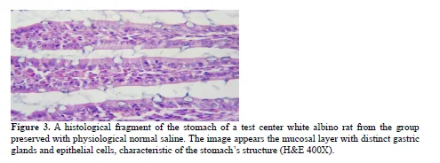 Histological Effects of Nano-Synthesized Particles of Nagilla Sativa Seeds Extract on Digestive System of Male Albino Mice 4 figures