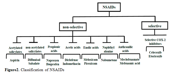 Strategies in the Delivery of Nonsteroidal Antiinflammatory Drugs 3 figures