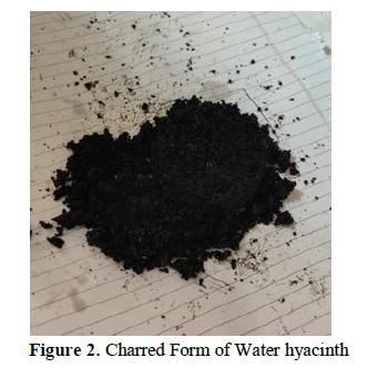 Removal of Chloride from Ground Water Using Natural Adsorbent: Water Hyacinth 3 figures