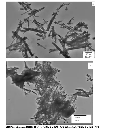Experimental Evaluation of MDM@Gd2O3:Eu3+ and Protein@MDM@Gd2O3:Eu3+ Functional Nanomaterial 3 figures