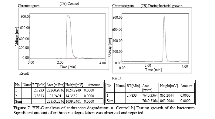 Investigations Into the Potential for Anthracene Decomposition of Novel Soil Bacterium, Pseudomonas putida P7 11 figures