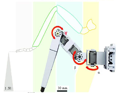 Design and Implementation of an IoT-Enabled Autonomous Hexapod Robot for Enhanced Navigation and Remote Operations 3 figures