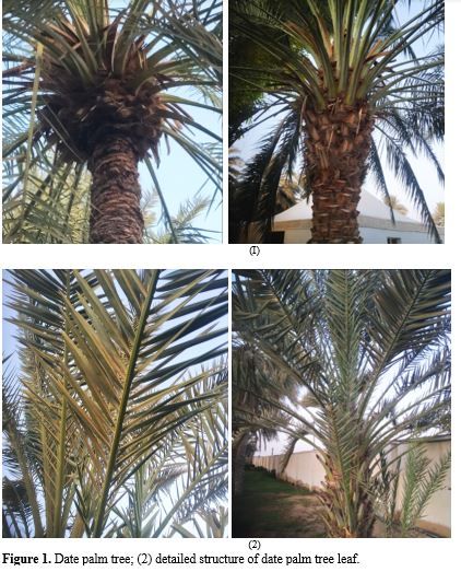 Experimental Investigation of Date palm Leaf Fiber reinforced with polymer matrix composite. 2 figures