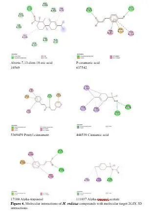 Multi-Target Molecular Docking of Anantmul (Hemidesmus indicus) Compounds for Tay-Sachs Disease Treatment 5 figures