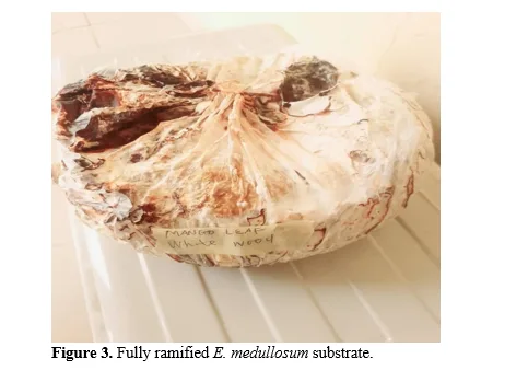 Comparative Study on the Growth and Yield of Ganoderma lucidium Mushroom Cultivated on African Peach (Nauclea diderrichii) and Bush Mango (Endospermum medullosum) Sawdust as Substrates 4 figures